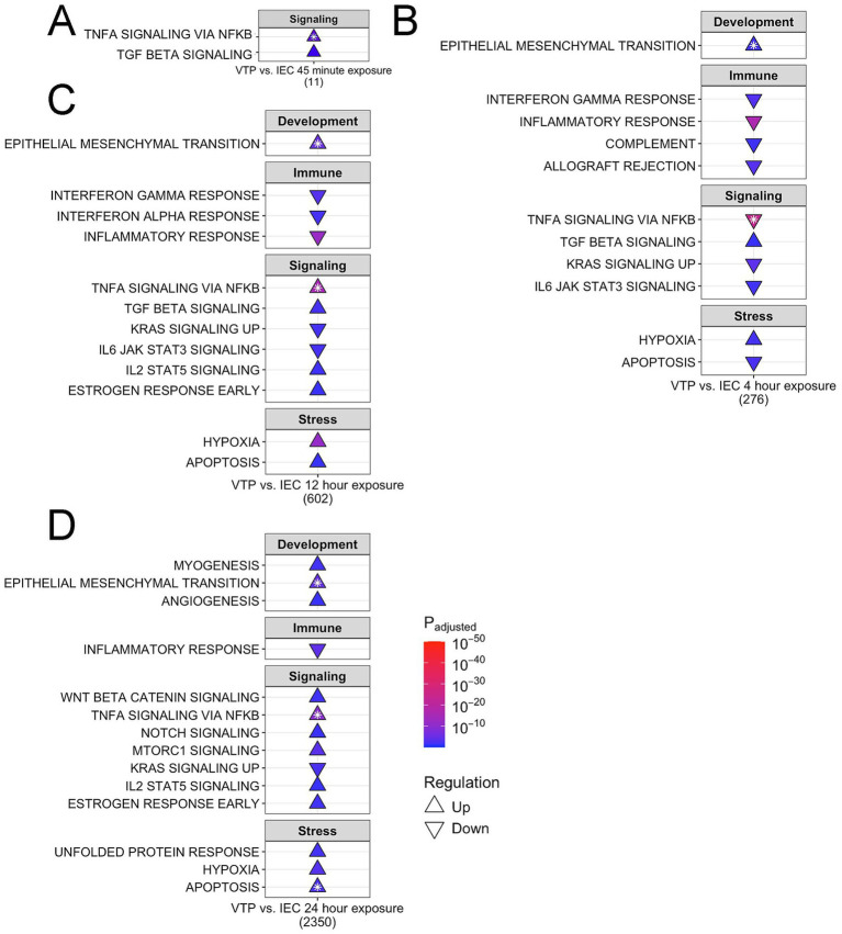 图5-7：通路富集与 hallmark 基因集分析