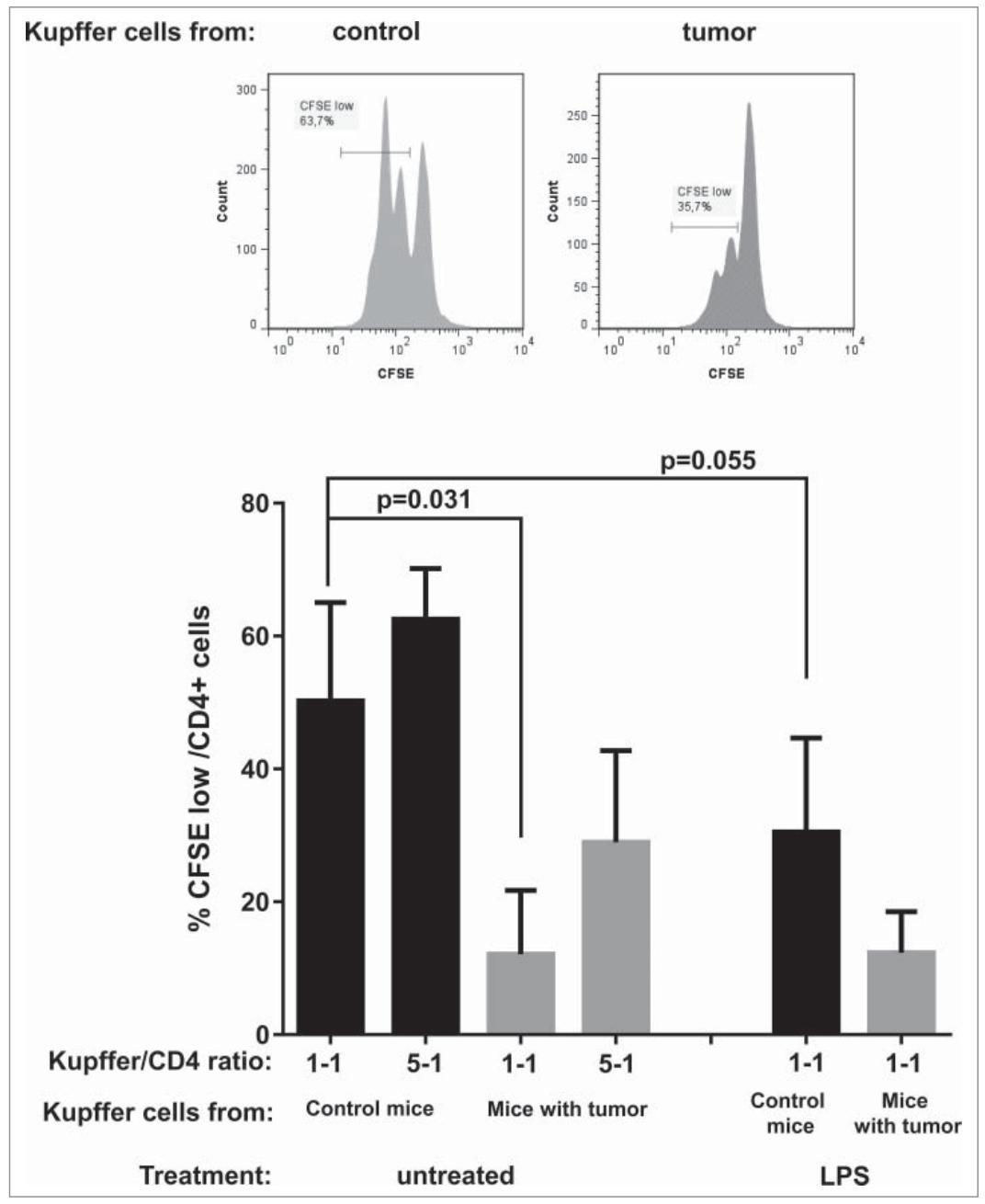 图2：HCC 小鼠库普弗细胞的抗原呈递功能下降