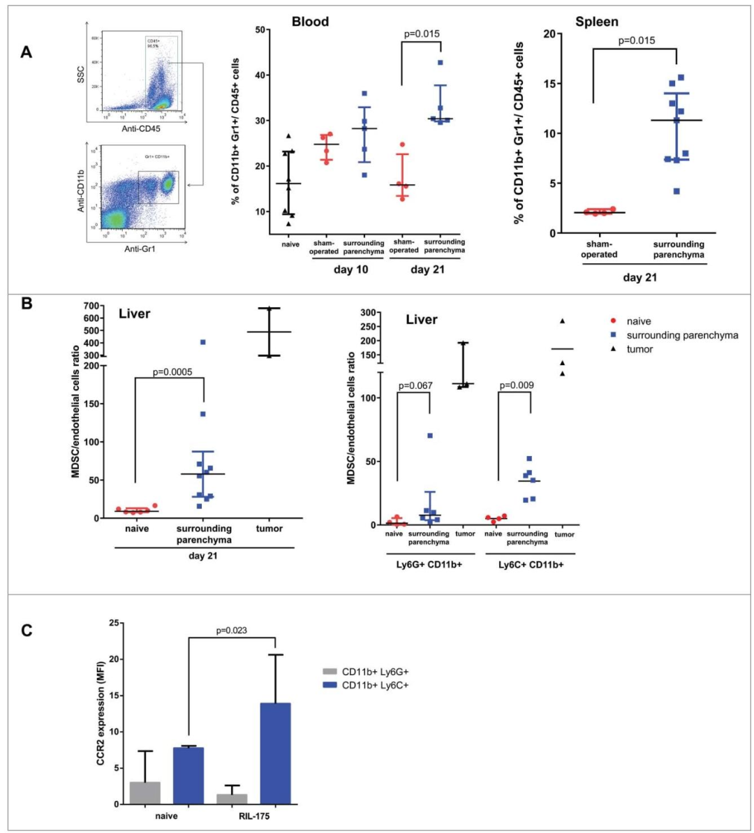 图3：MDSC 在 HCC 小鼠体内的分布与亚群特征
