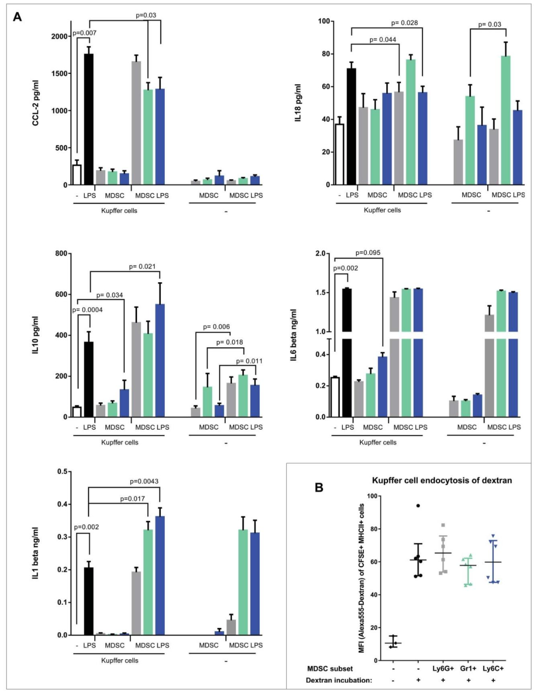 图5：MDSC 亚群对库普弗细胞分泌功能和内吞的影响