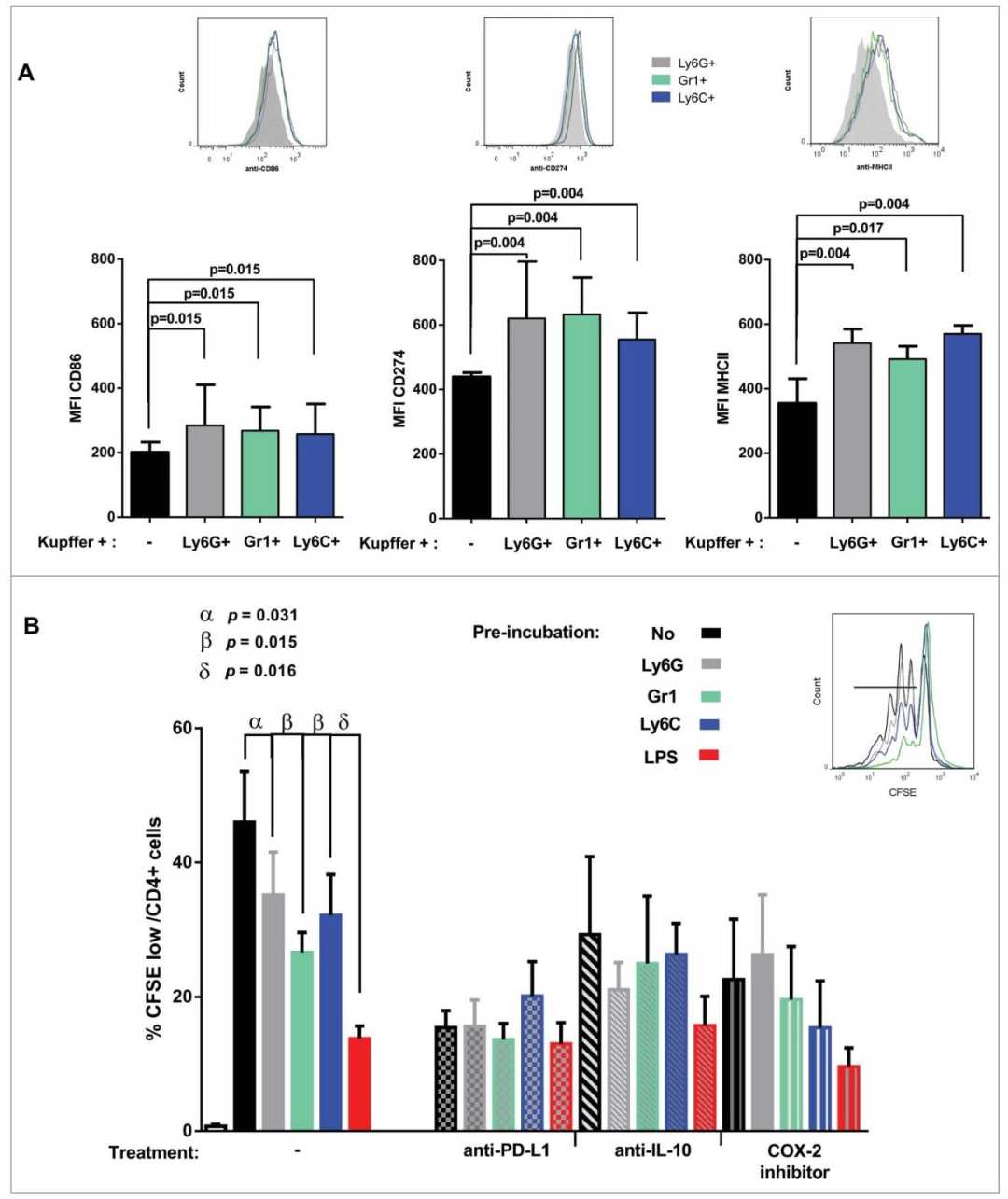 图6：MDSC 亚群对库普弗细胞表型和抗原呈递的调控