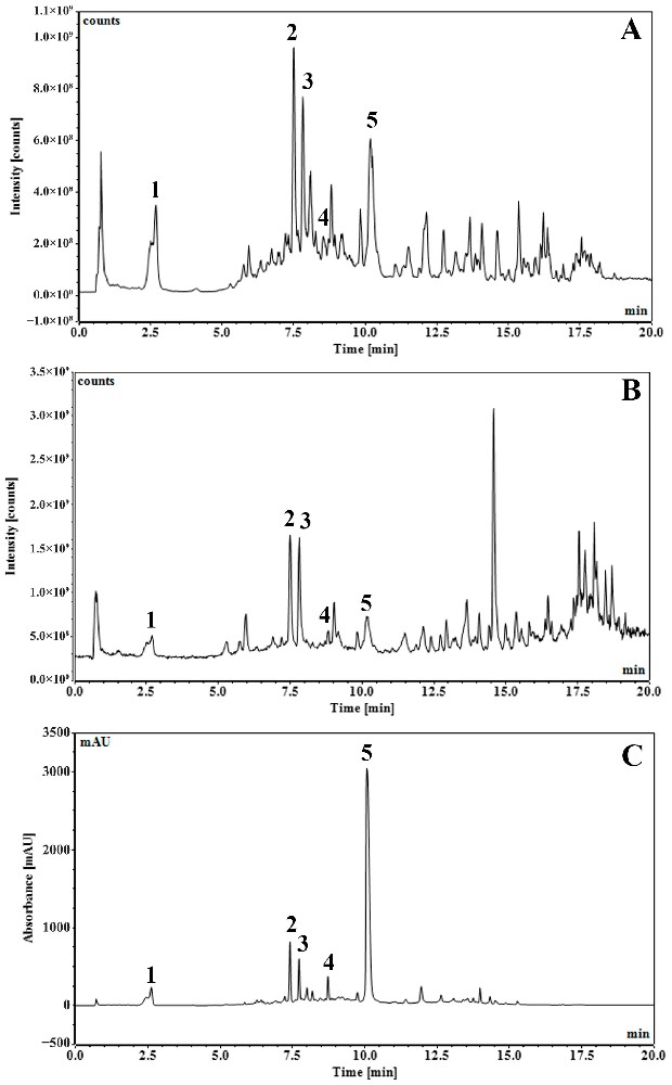 图1 SA 提取物的 UHPLC-DAD-MS/MS 色谱图