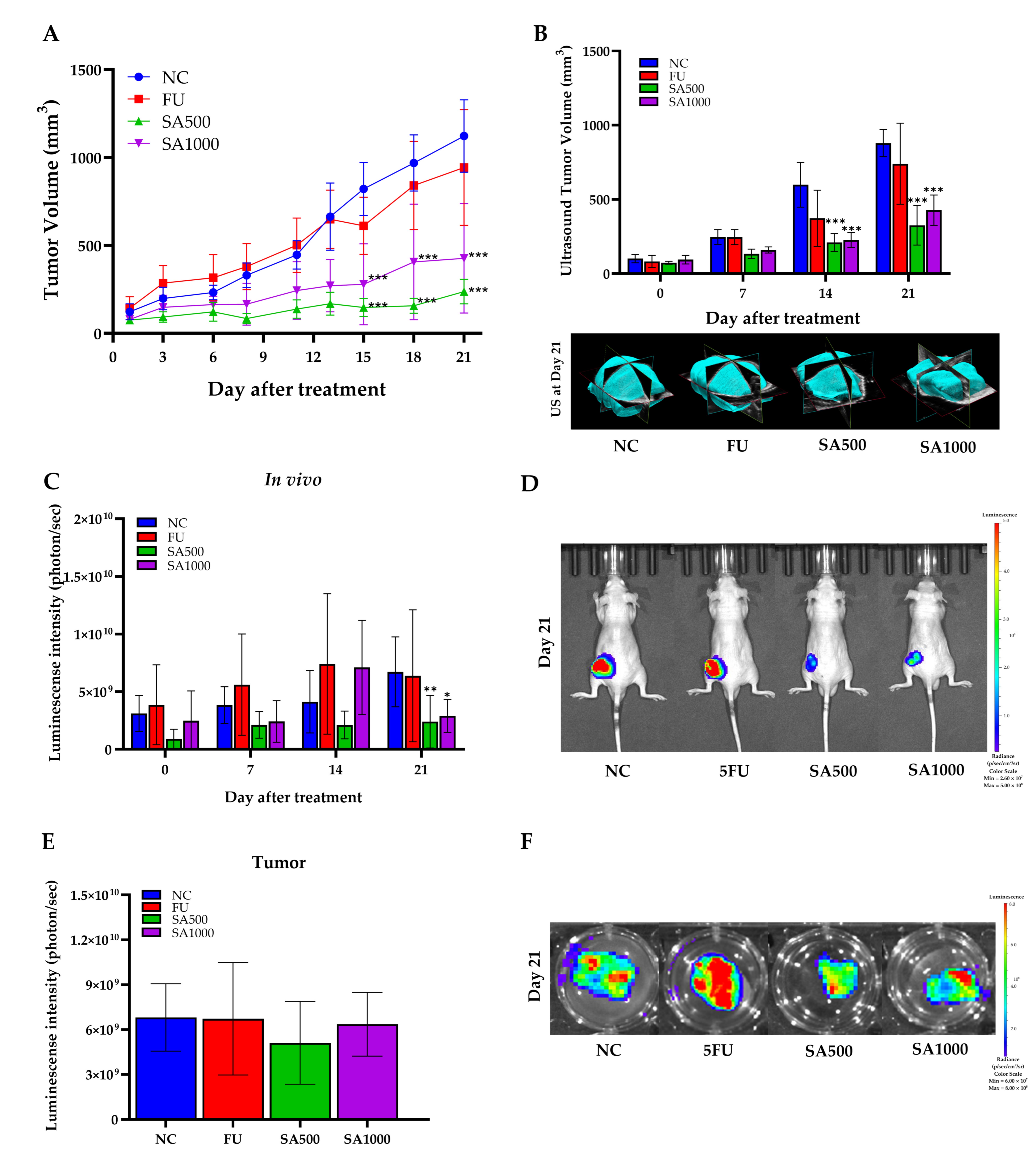 图4 SA 提取物在 HCT116-Red-FLuc 异种移植小鼠中的抗肿瘤效果