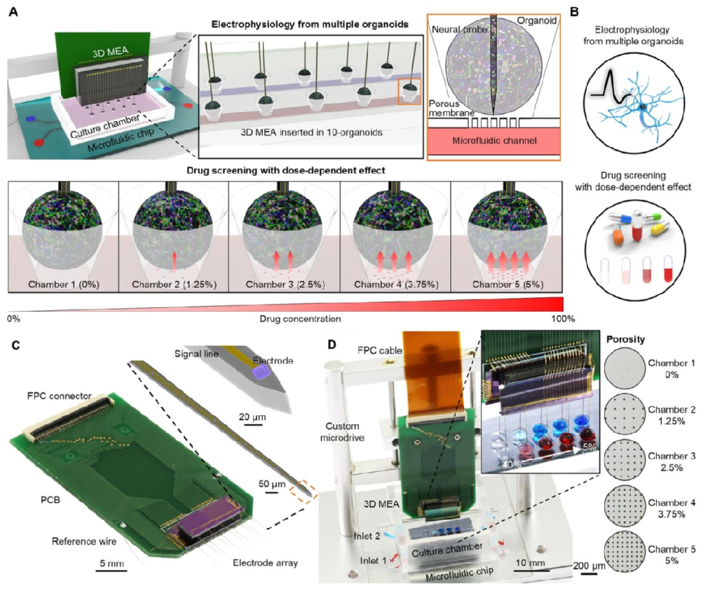 图 1：一步式药物筛选系统的设计与结构