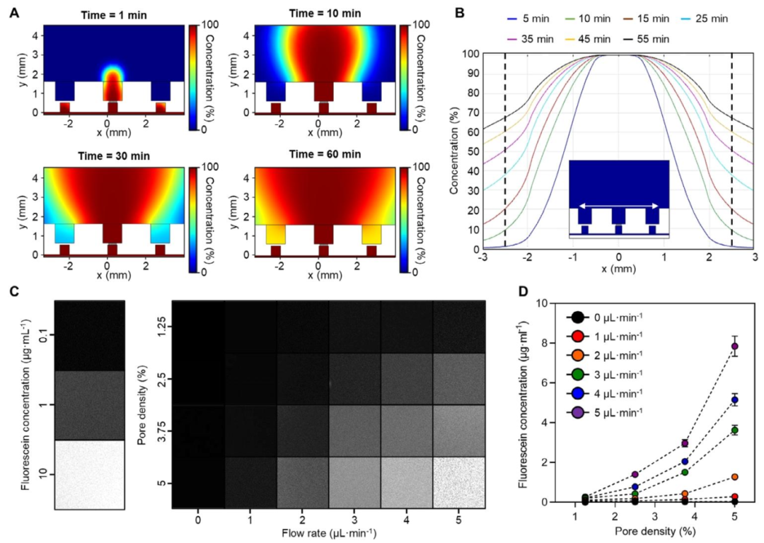 图 2：系统的药物扩散模拟与浓度控制验证