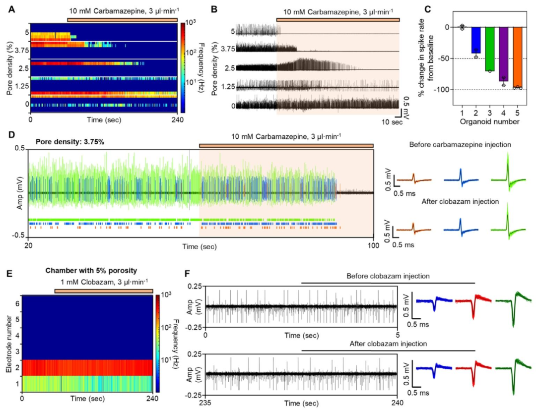 图 7：SCN2A 癫痫类器官的药物筛选