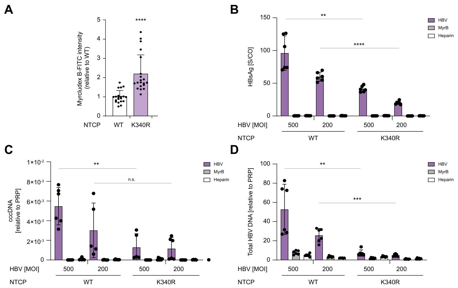 图 4：NTCP^K340R^ 突变体显著降低 HBV 感染效率