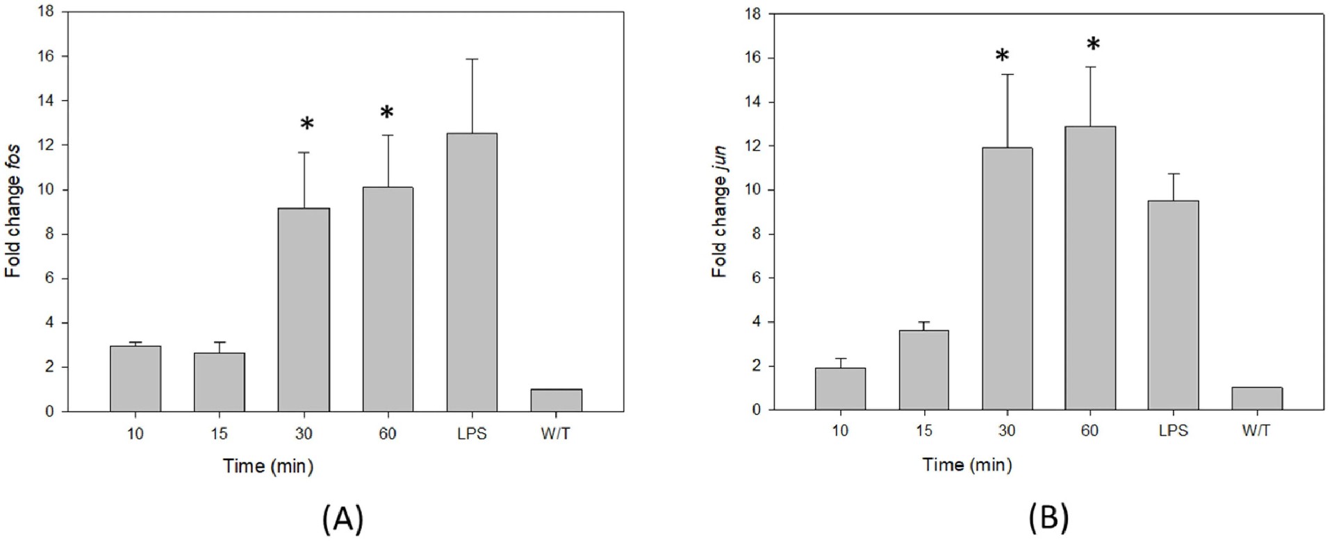 图 5：VCC 单体通过上调 Fos 和 Jun 转录激活 AP‑1 转录因子