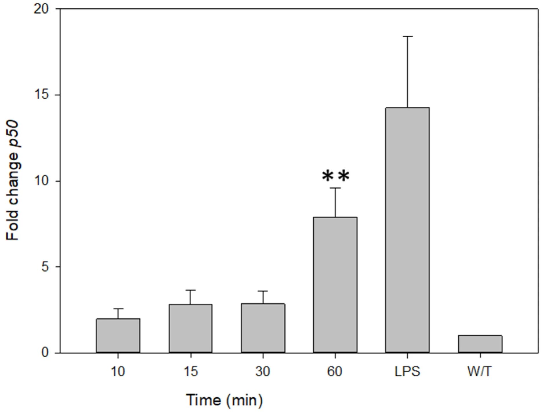 图 6：VCC 单体在 60 分钟显著激活 NF‑κB (p50) 转录启动促炎程序