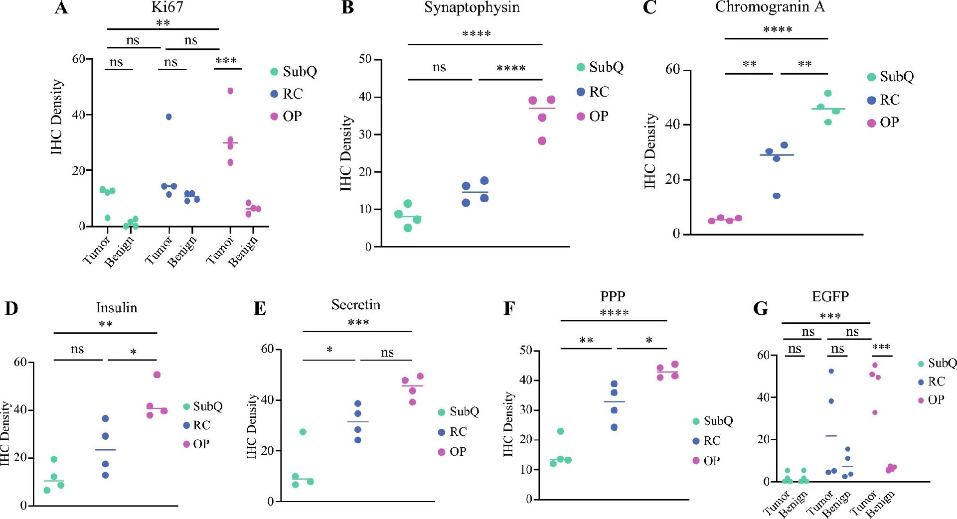 图4：三种模型免疫组化标志物密度定量对比