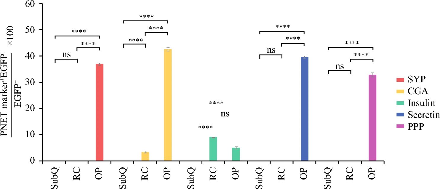 图6：EGFP 标记 STC-1 细胞的谱系示踪定量分析