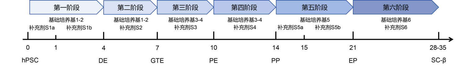 本产品分化流程图