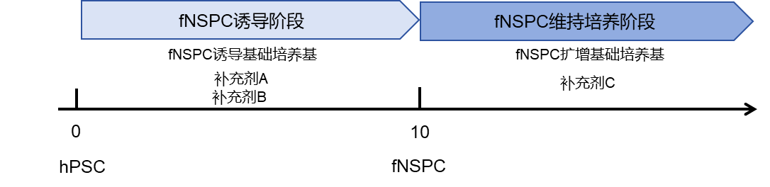产品分化流程图