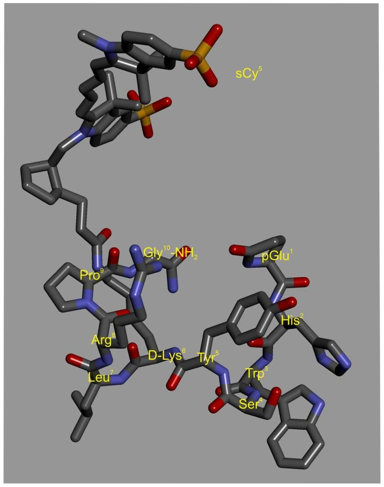 图 1 sCy5-D-Lys⁶-GnRH 的分子结构与设计原理