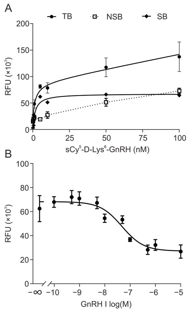 图 2 sCy5-D-Lys⁶-GnRH 在 SCL60 细胞中的受体结合特性验证