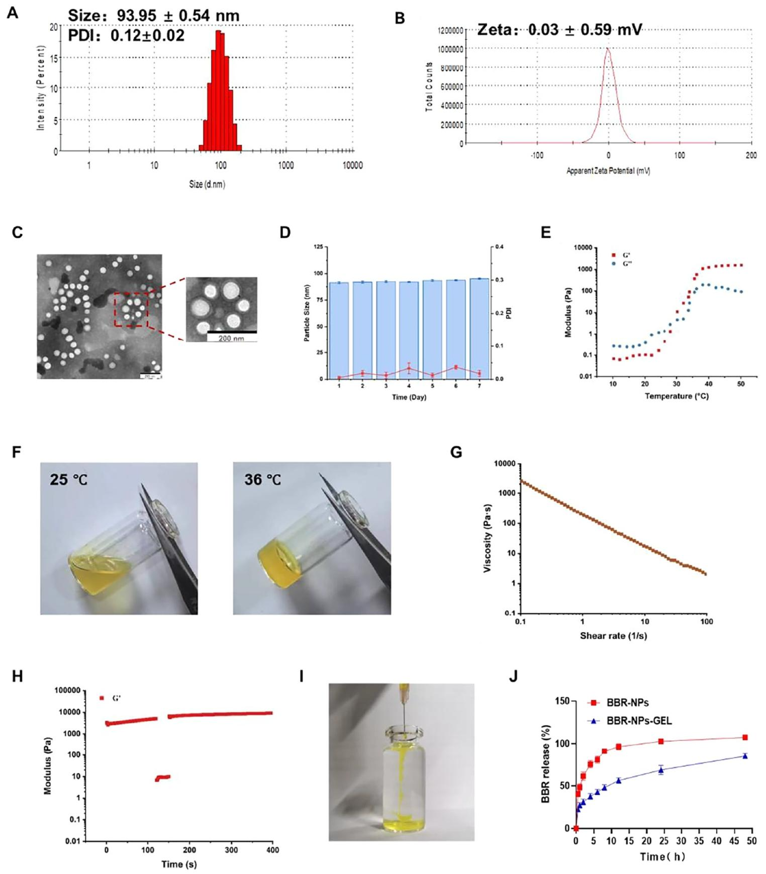 图 5：BBR-NPs-GEL的制备与表征