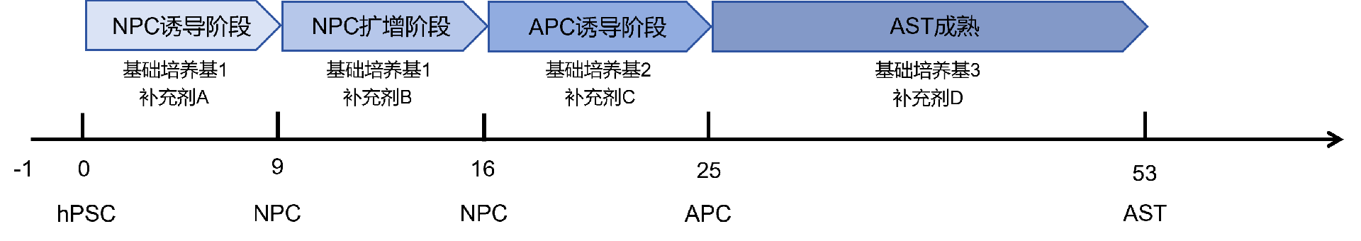 产品分化流程图.png