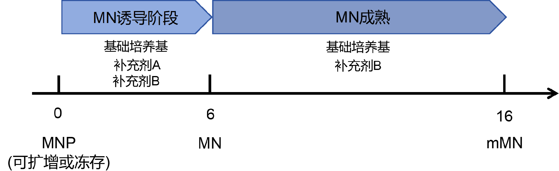 产品分化流程图.png