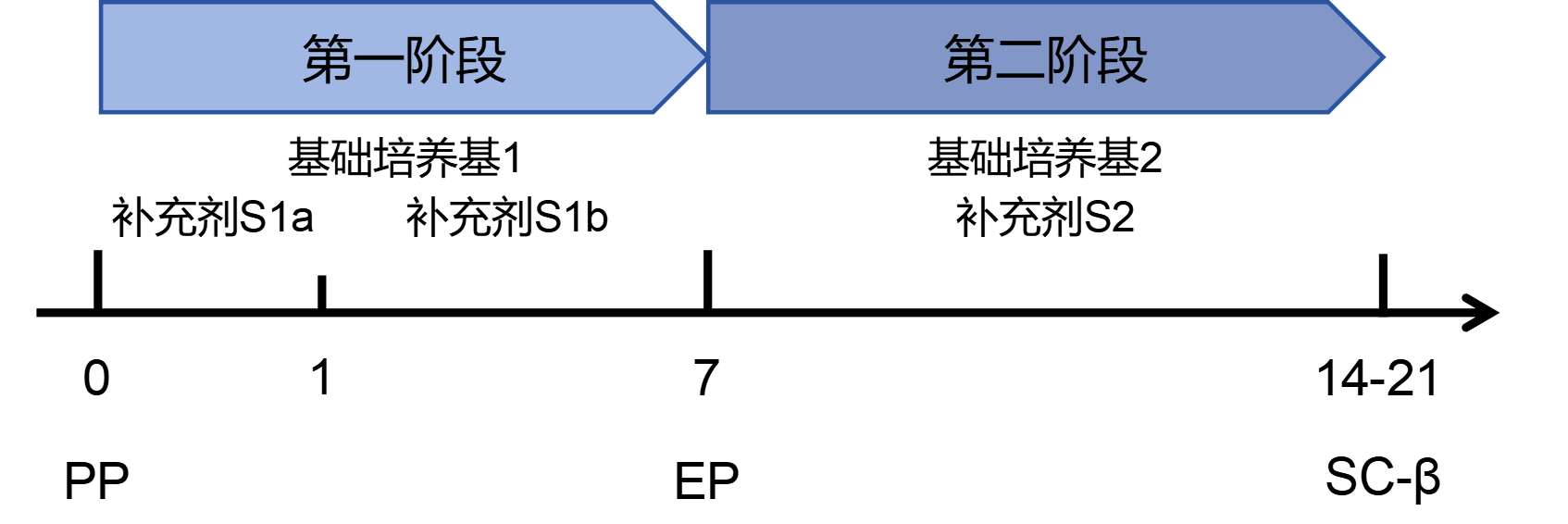 产品分化流程图.png