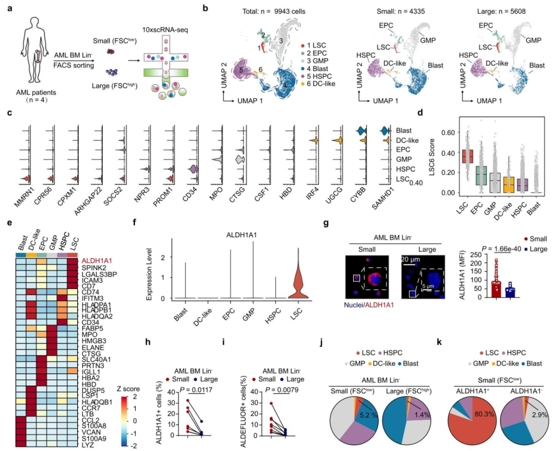 图 4：scRNA-seq 鉴定 FSClowALDH1A1 + 亚群为 LSC 高富集群体