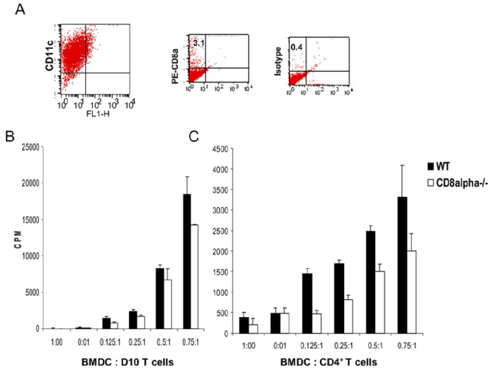 图 1：CD8α⁺ DC 诱导 T 细胞增殖的能力更强