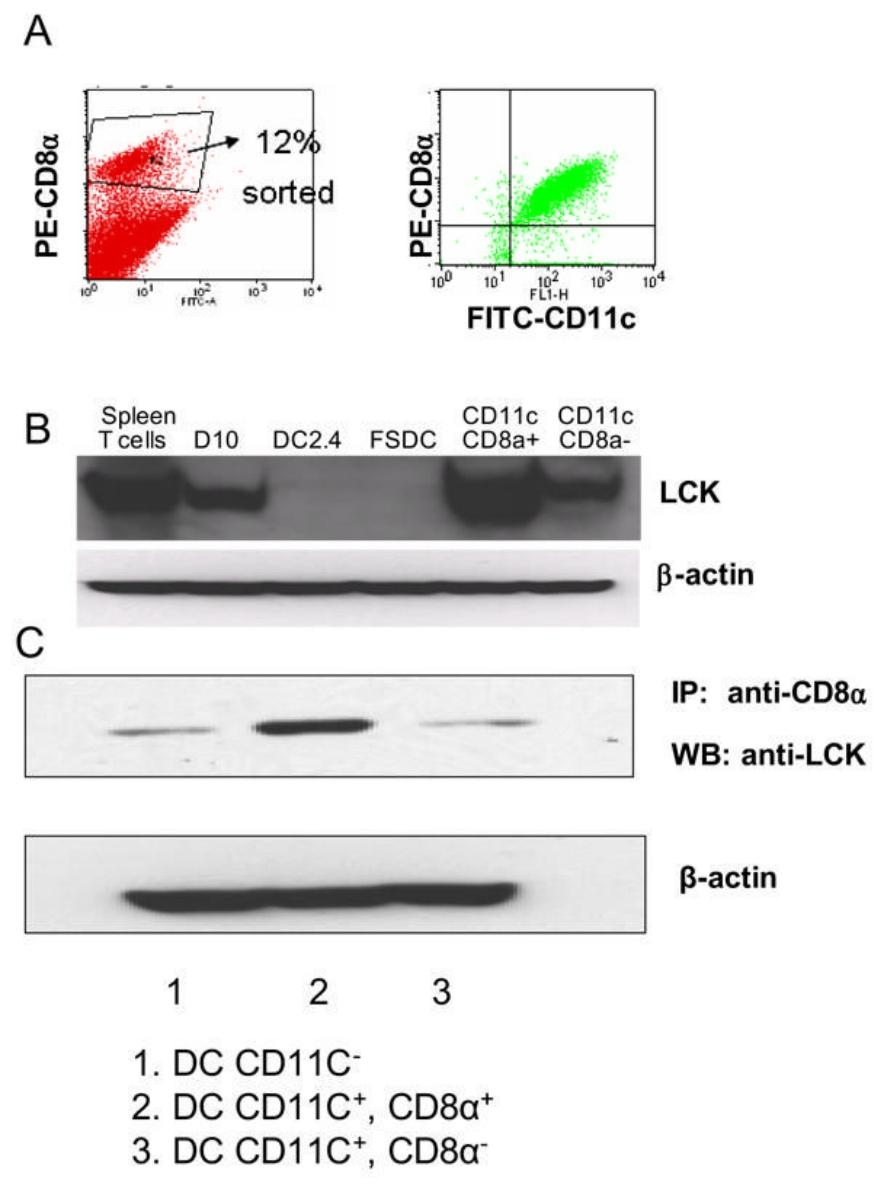 图 3：DC 表达 LCK 并与 CD8α 结合