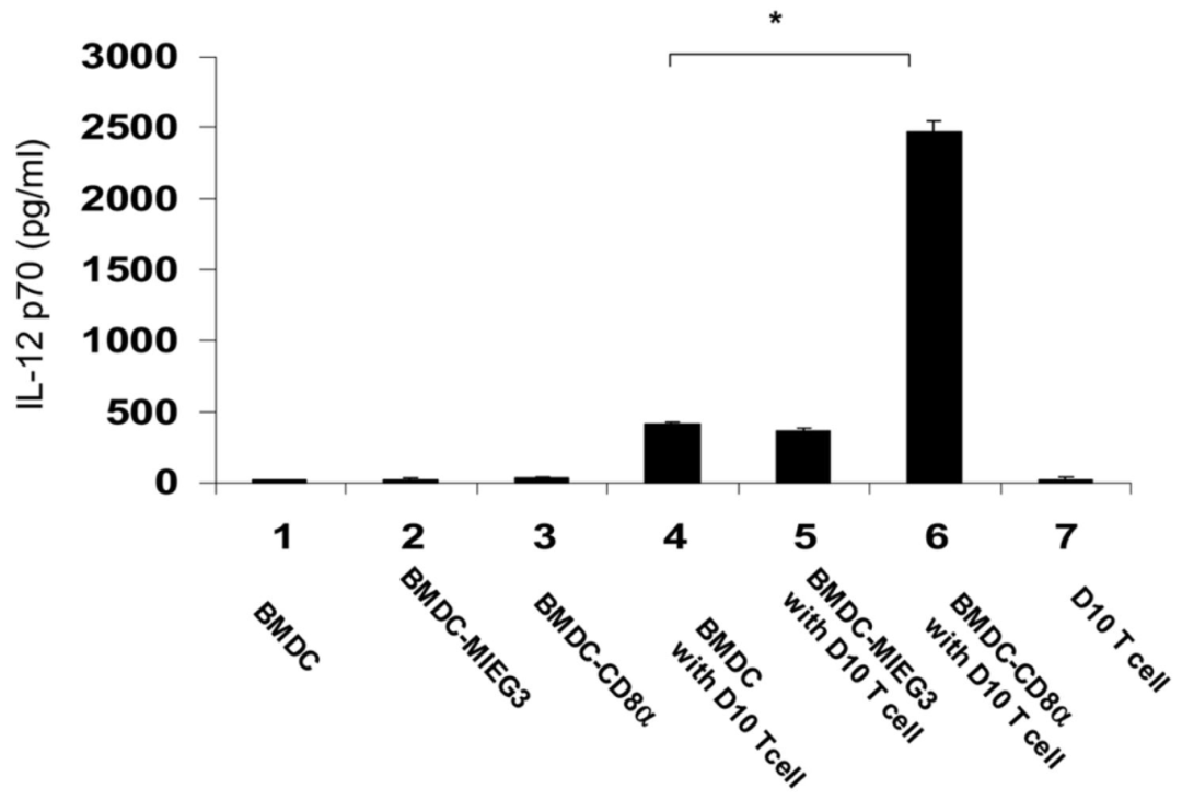 图 2：CD8α 转导增强 DC 的 T 细胞激活功能