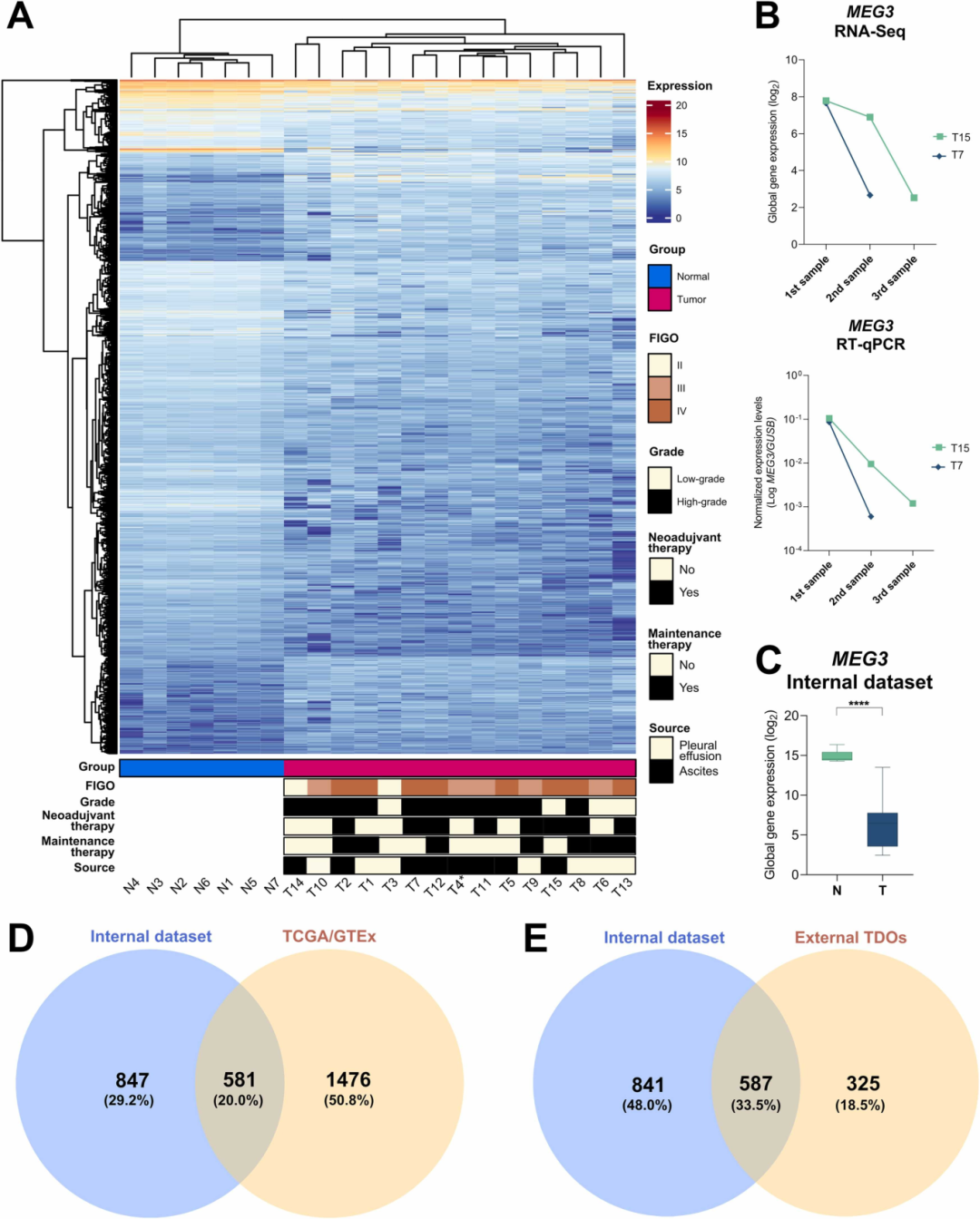 图2：MEG3 是 SOC 中动态下调的核心 lncRNA