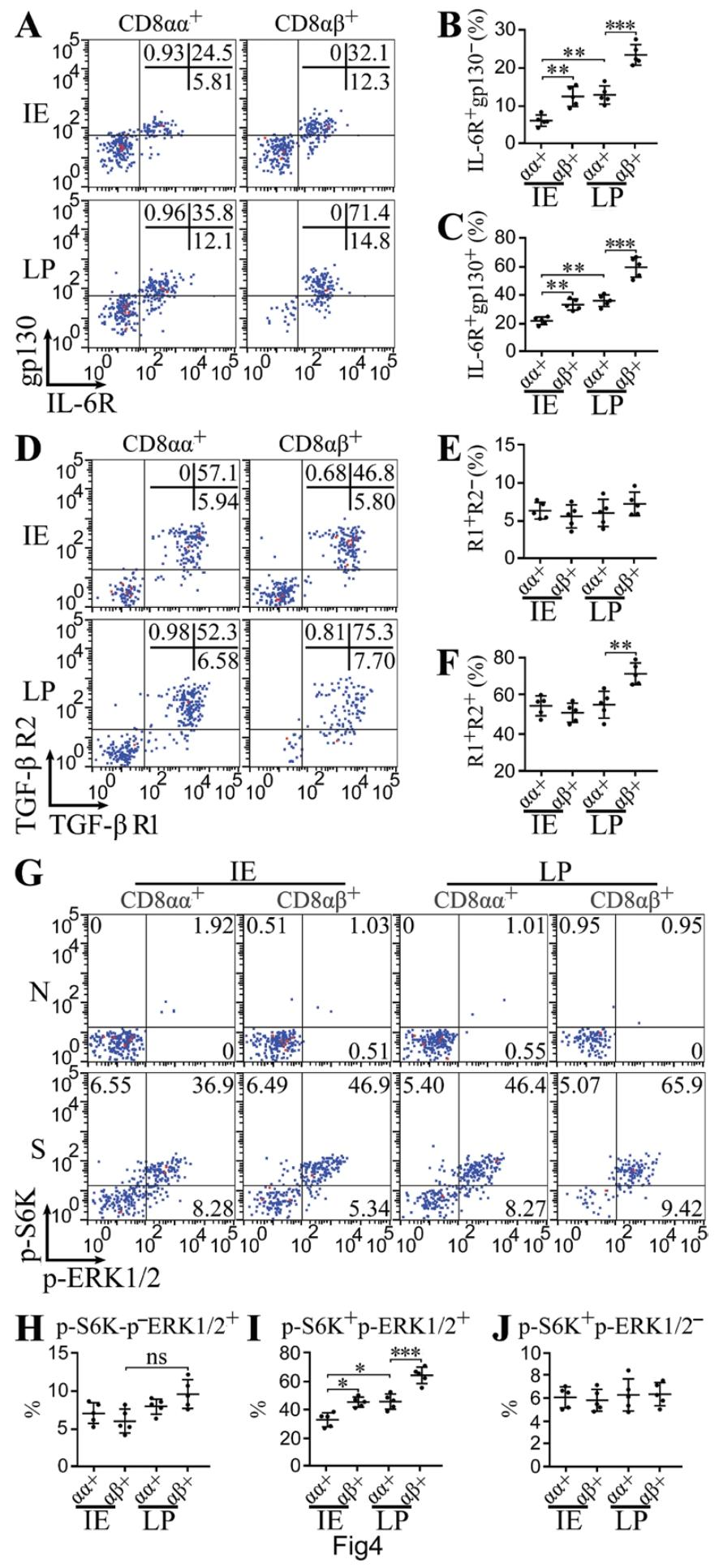 图 4：CD8⁺T 细胞亚群的 Tc17 相关受体表达与 TCR 信号强度