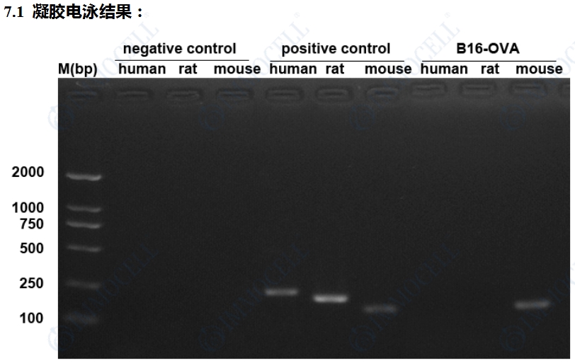 物种鉴定图