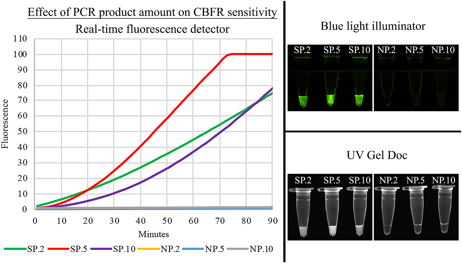 图 3 PCR 产物体积对 CBFR 检测灵敏度的影响