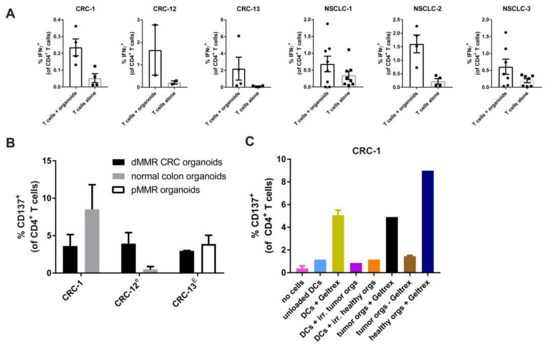 图 5:CD4+ T 细胞对异种组织培养成分的反应
