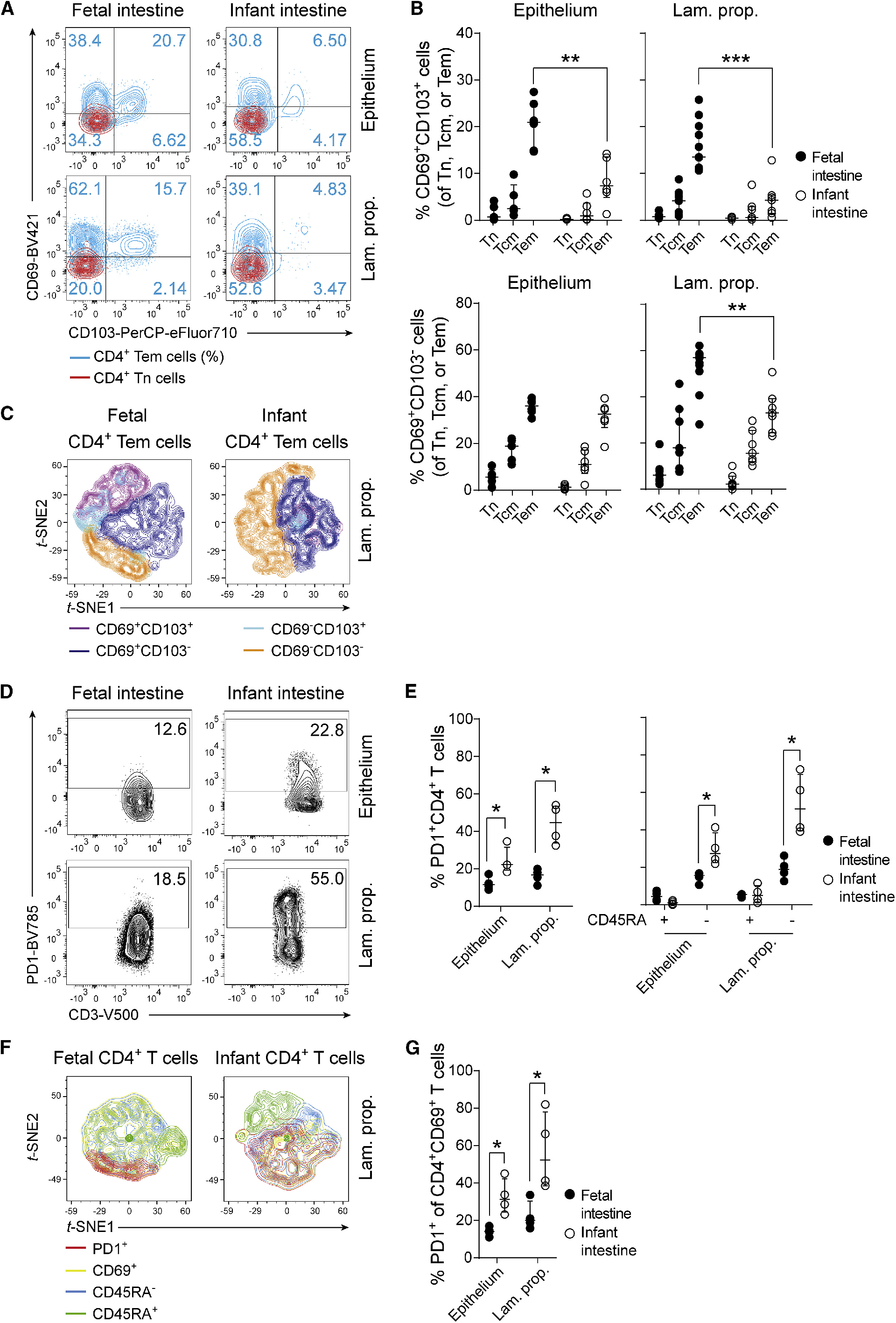 图2：胎儿 CD4+Tem 细胞高表达组织驻留标志物且免疫调控分子低表达