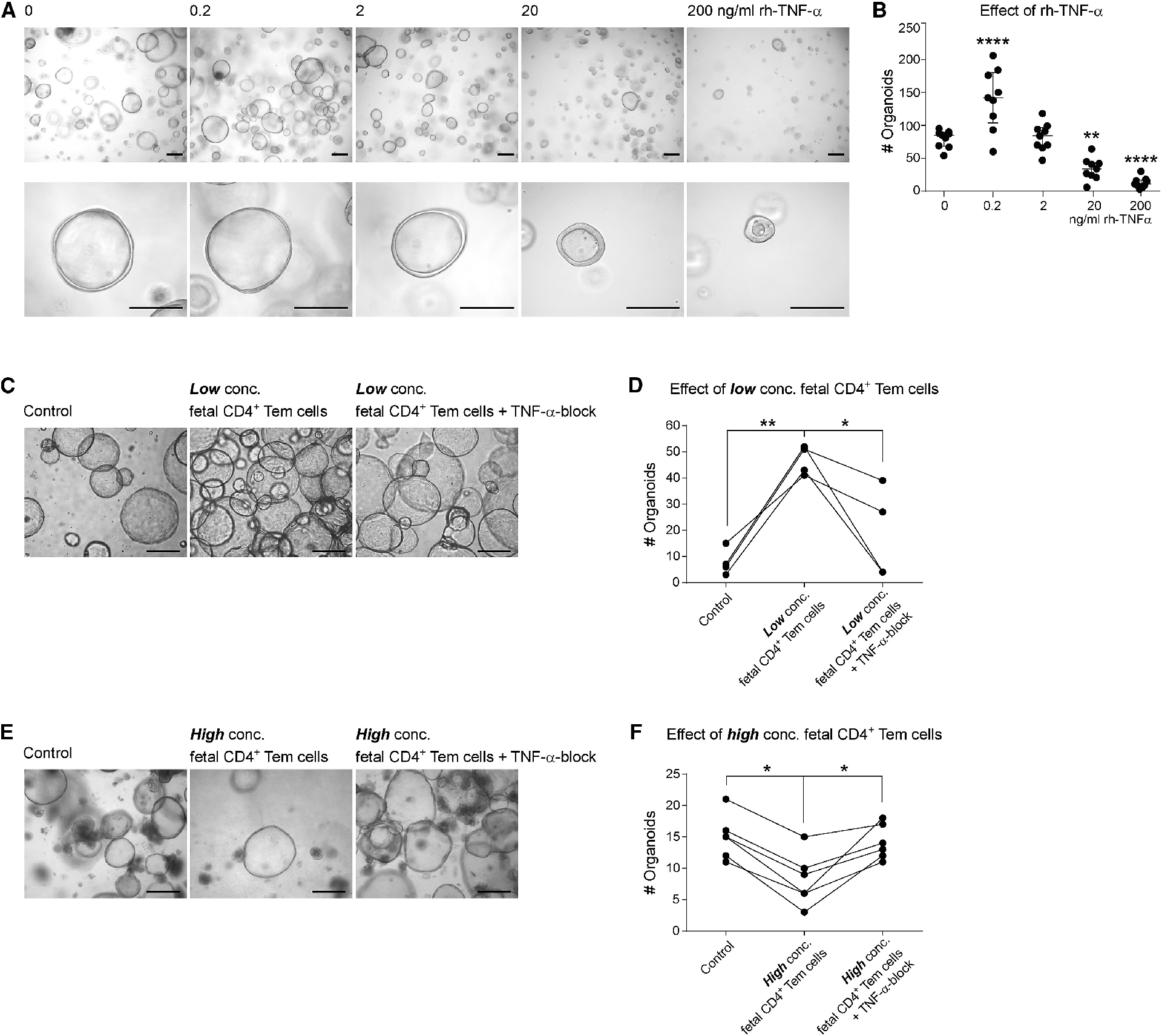图5：TNF-α 对肠道干细胞的剂量依赖性调控作用