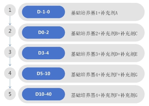 本产品分化流程图